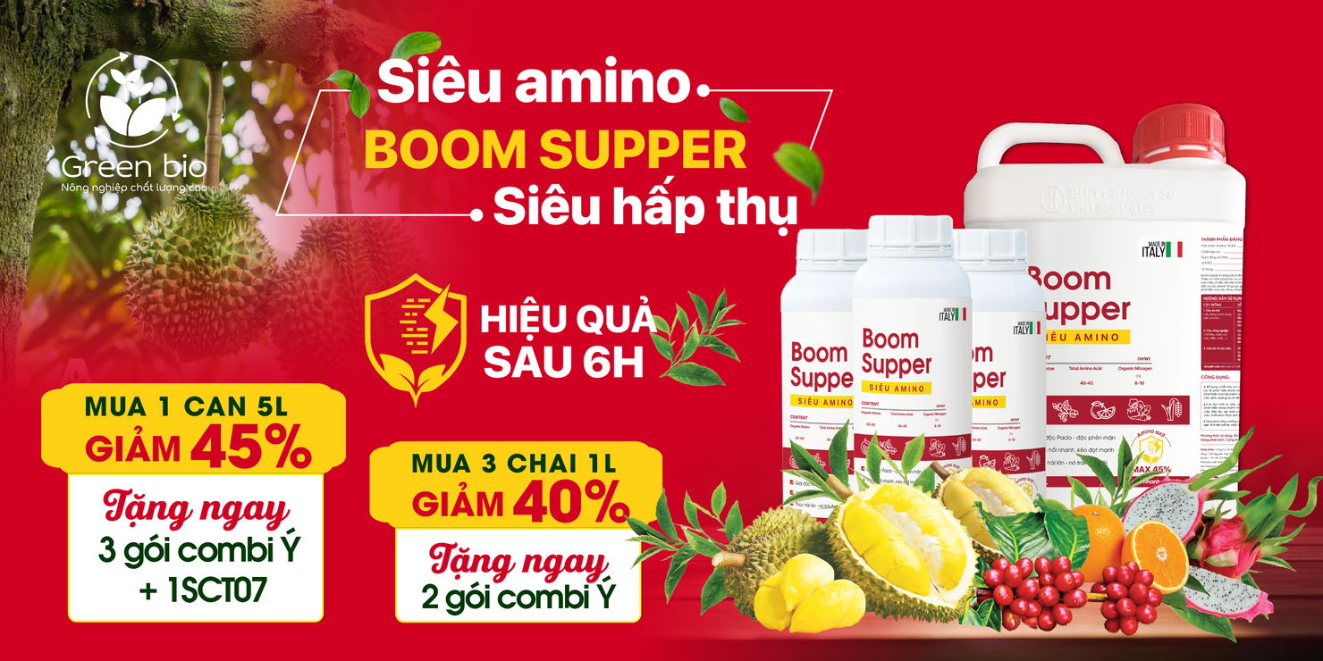boom supper. bn1 02