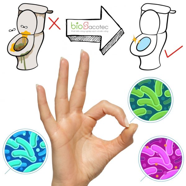 chế phẩm sinh học