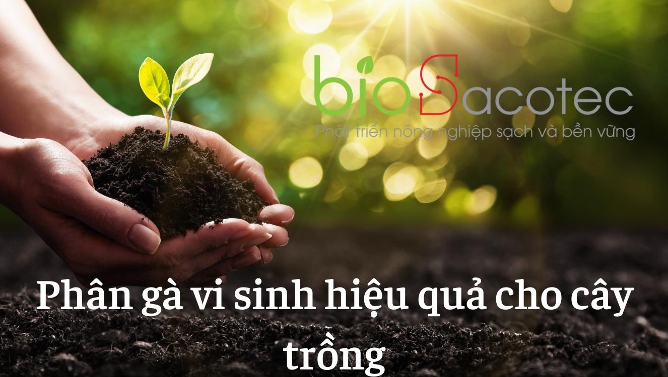 phân gà vi sinh hiệu quả trên cây trồng