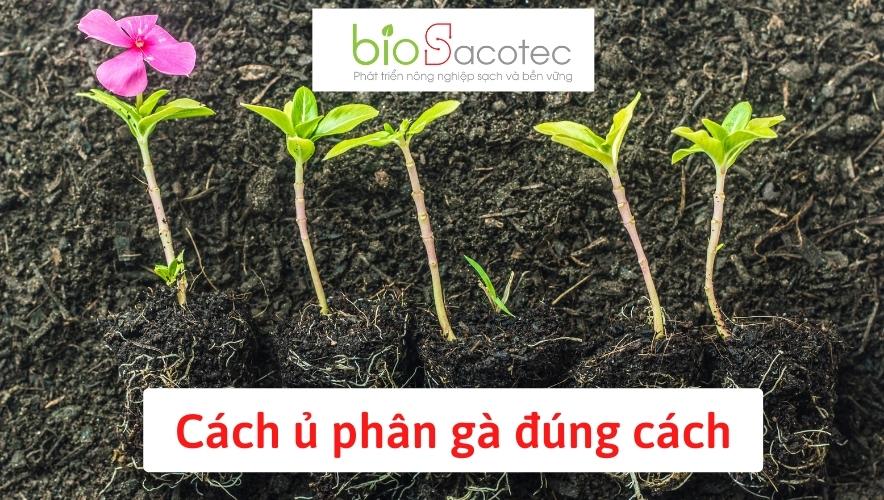 Cách ủ phân gà đúng cách