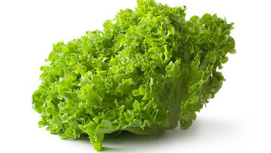 Rau trồng tại nhà