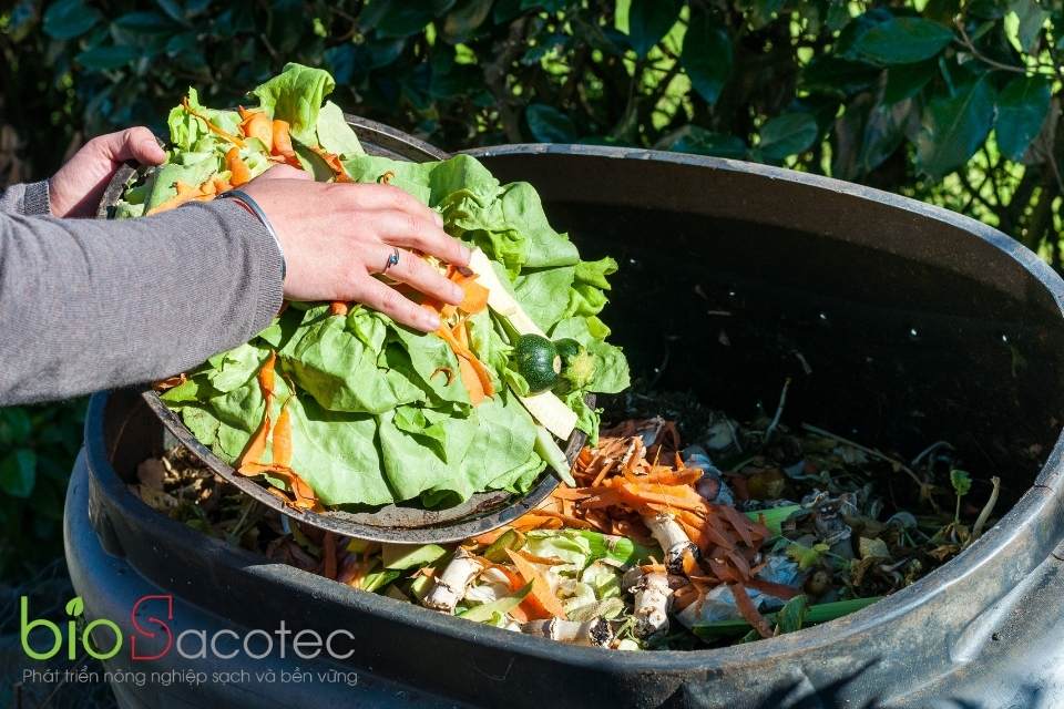 QUY TRÌNH Ủ PHÂN COMPOST TẠI HỘ GIA ĐÌNH 4 bỏ rác vào thùng
