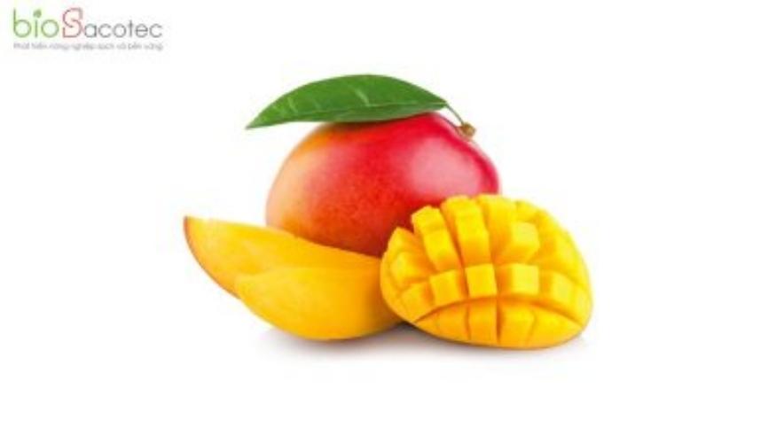 bón phân cho xoài