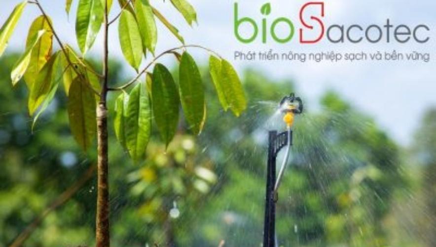 tưới nước cho sầu riêng