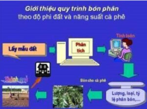 126989741 181320763628448 1783551366714827474 n