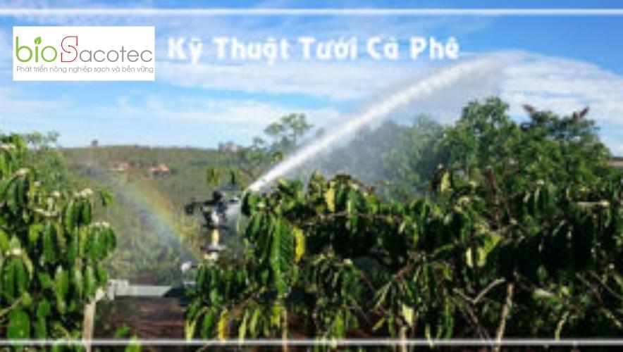 kĩ thuật tưới cà phê