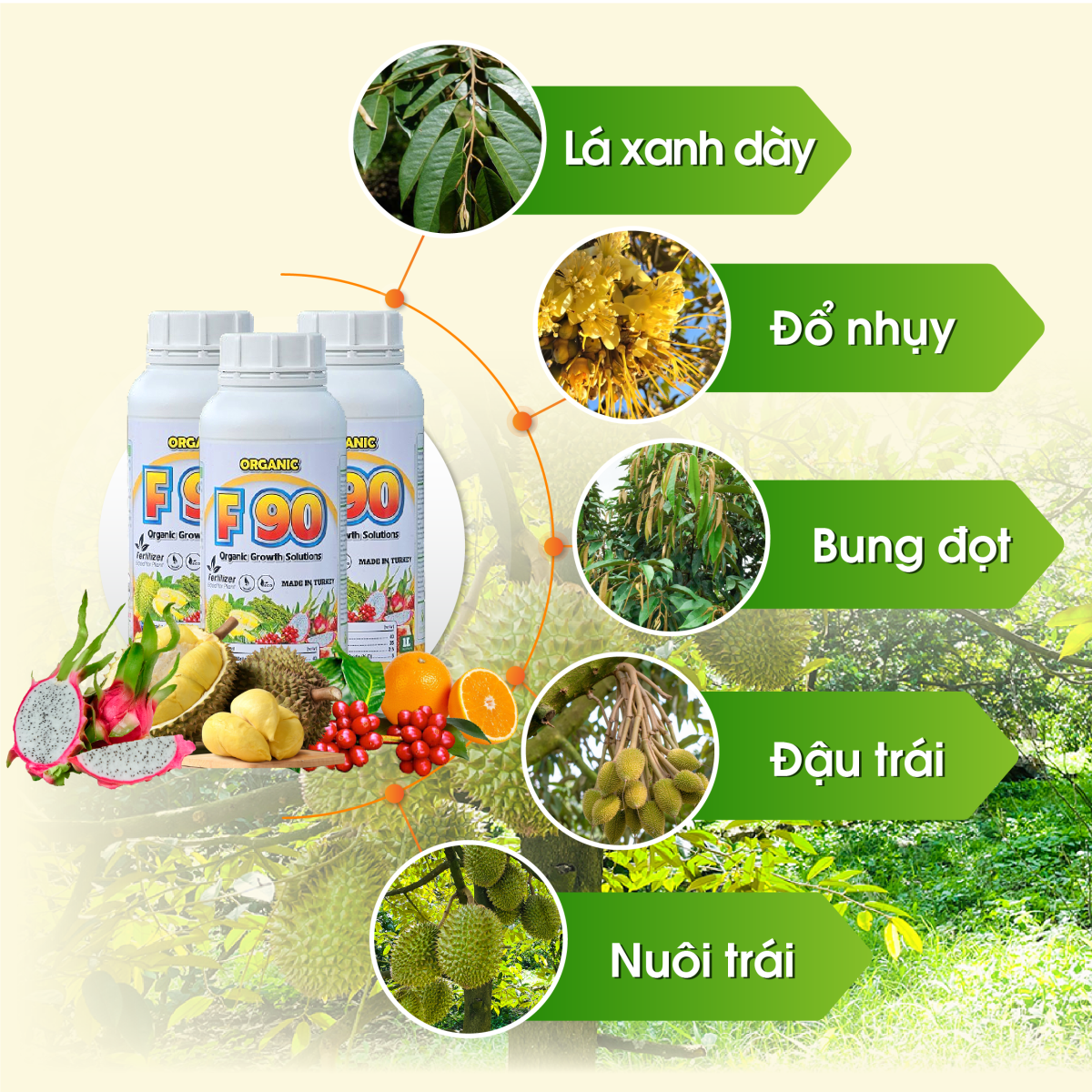 Phân bón lá sinh học Organic F90 - Ảnh 3