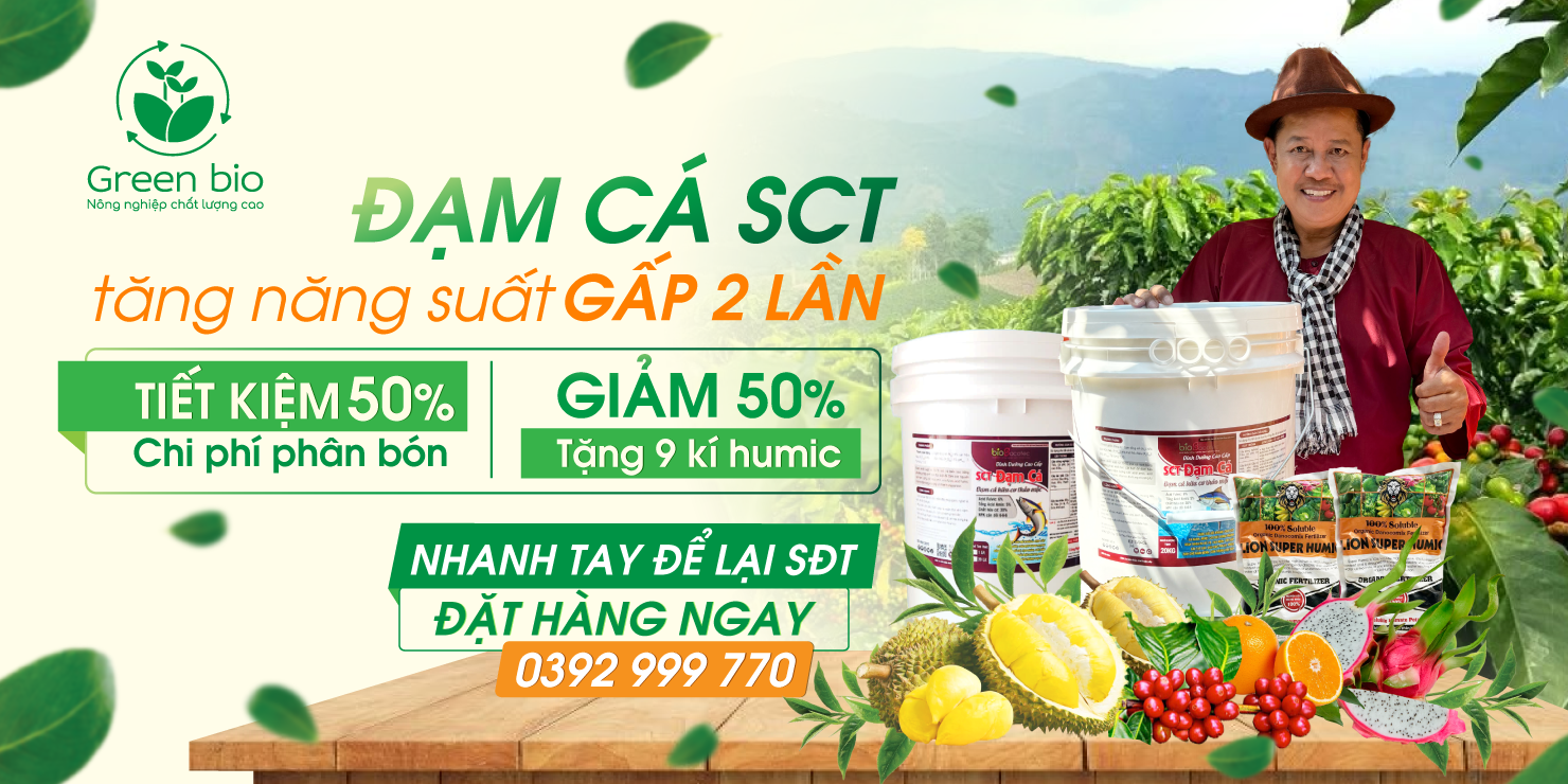 Dam ca 1480x740px 3