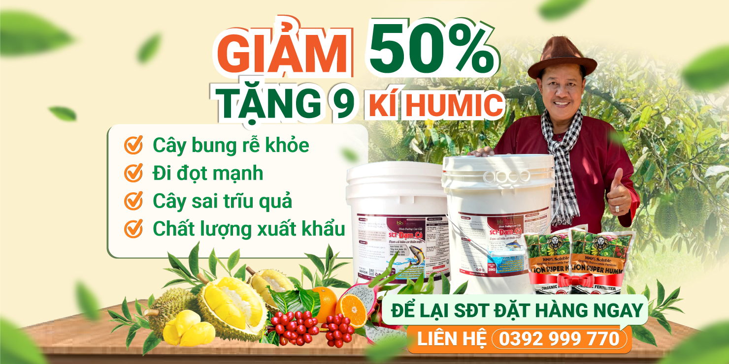 Dam ca