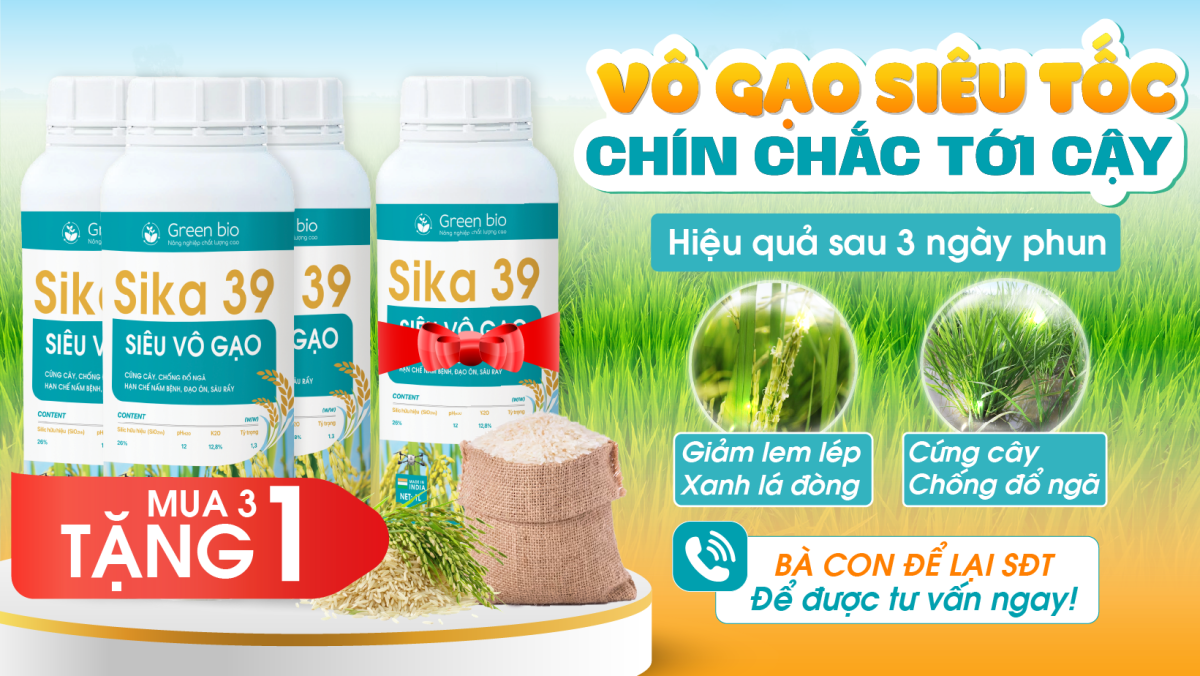 SIKA 39 - Siêu Vô Gạo - Ảnh 3