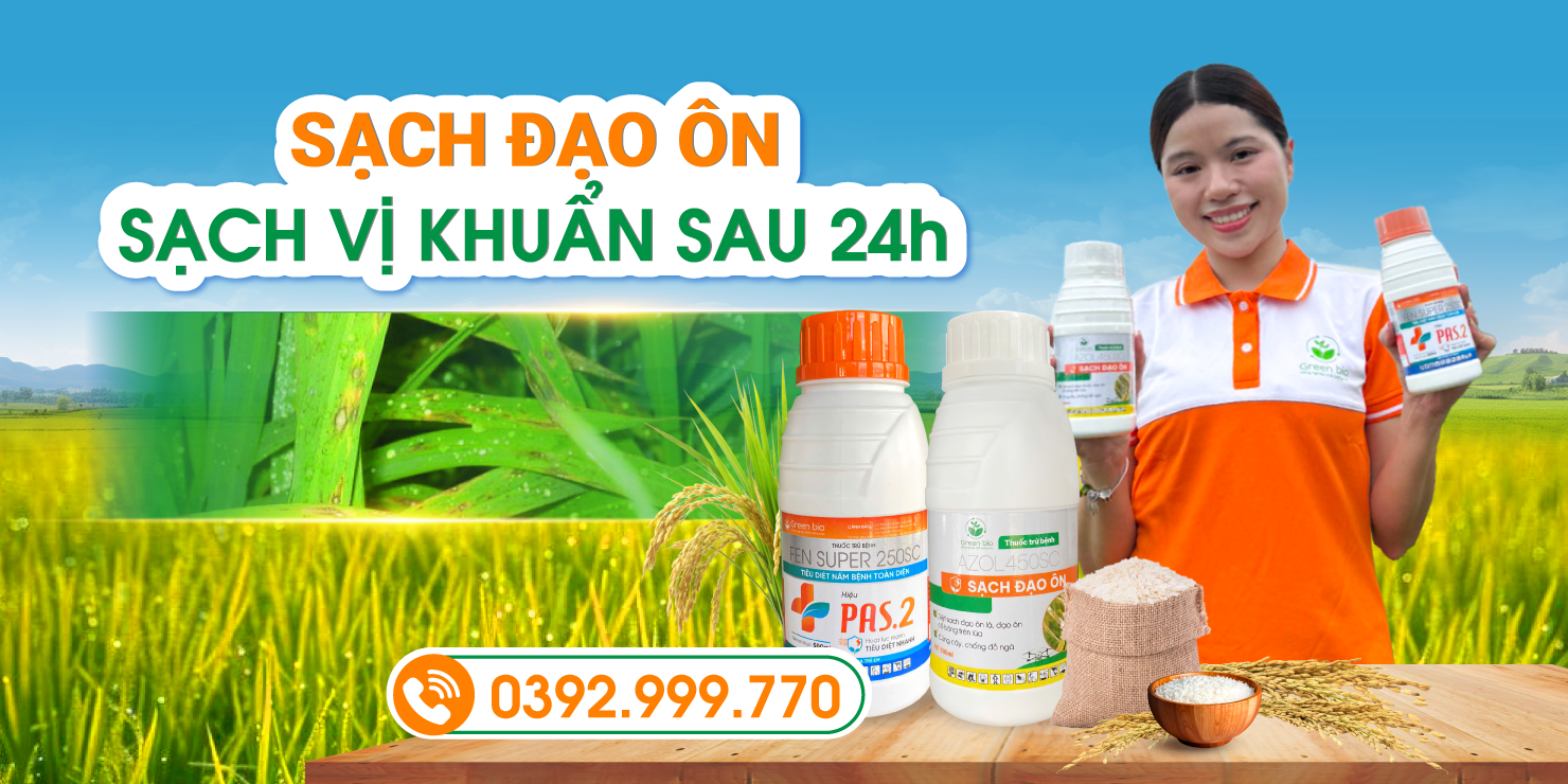 BANNER SACH DAO ON 1480X740